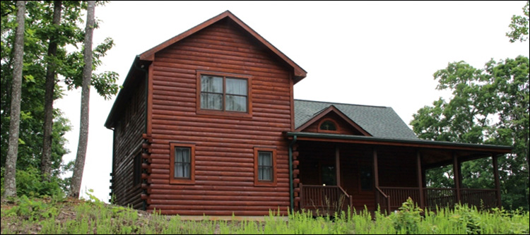 Professional Log Home Borate Application  North Robinson, Ohio